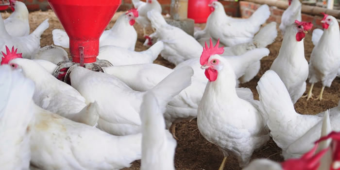 36dc0a55-fc47-4627-80a8-f4083544492a