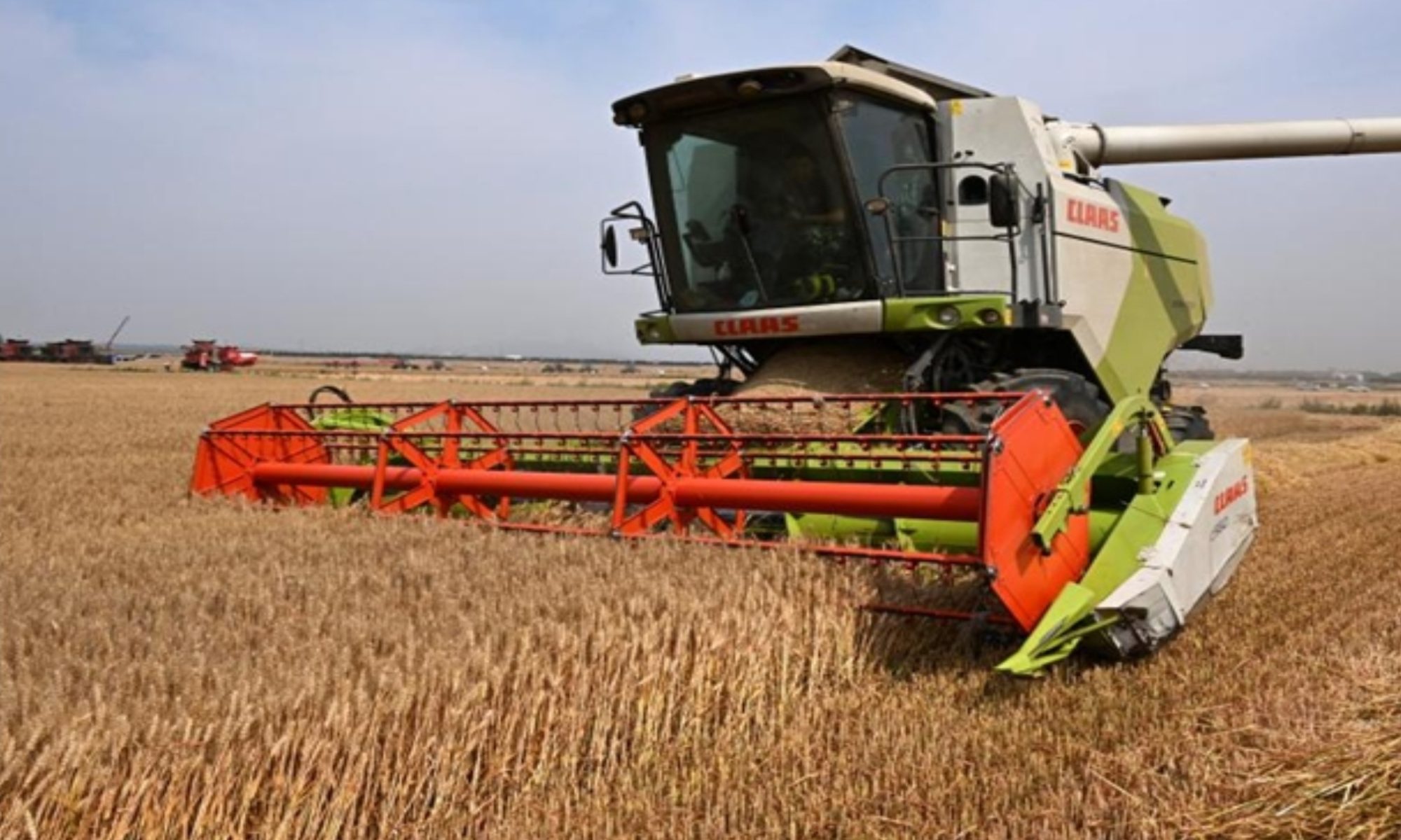 farm-1-2000x1200 farm-1-2000x1200