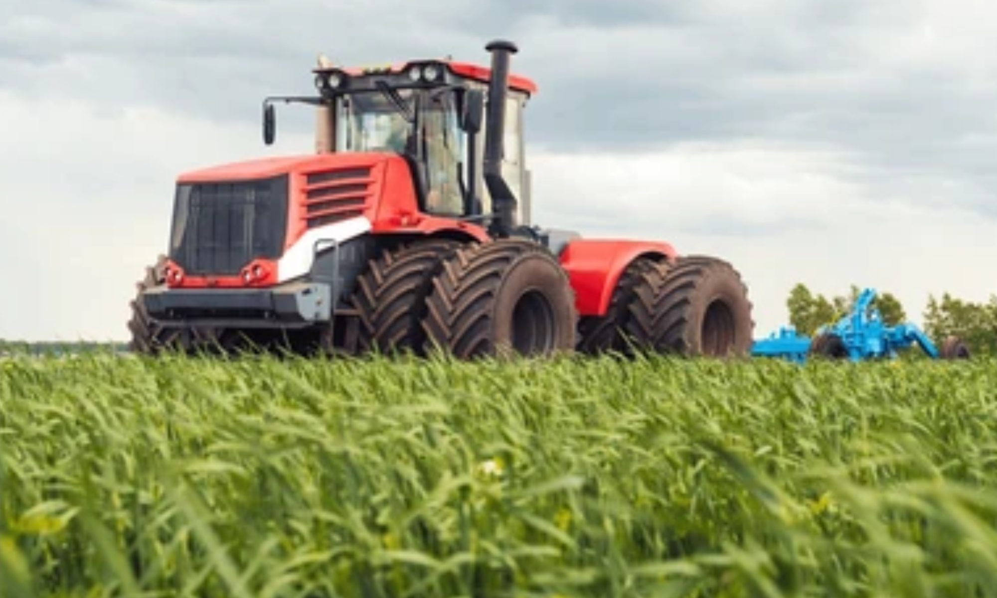 farm4-2000x1200 farm4-2000x1200